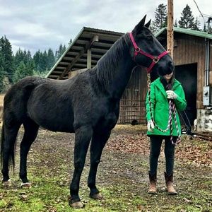 Meet your Posher, Ellie